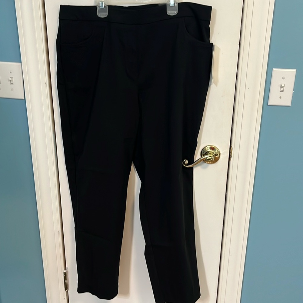 Alfred Dunner Allure pants 16W
